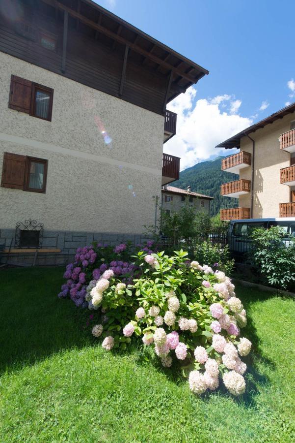Residence Alpen Casavacanze Pinzolo Kültér fotó